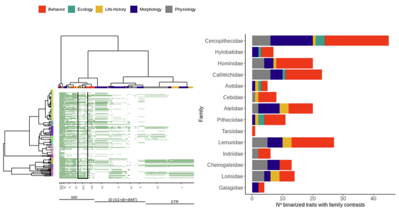 Database visualization