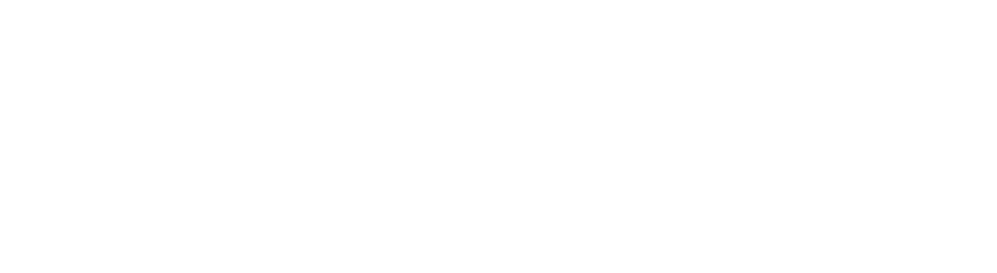 IBE logo